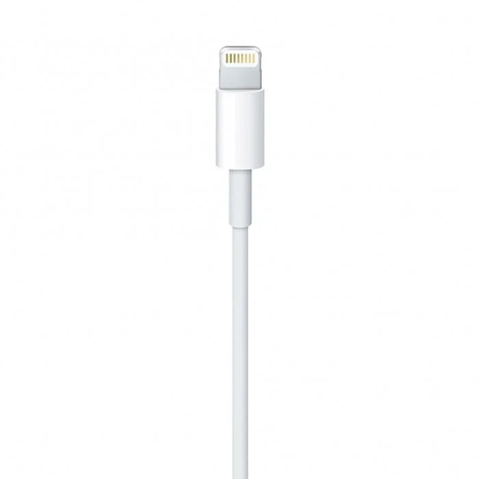 Cabo USB-A para Lightning Oficial Apple 1m MXLY2ZM